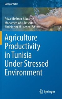 bokomslag Agriculture Productivity in Tunisia Under Stressed Environment