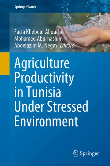 Faiza Khebour Allouche, Mohamed Abu-hashim, Abdelazim M. Negm - Agriculture Productivity in Tunisia Under Stressed Environment, Inbunden