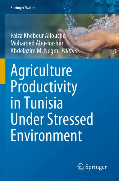Faiza Khebour Allouche, Mohamed Abu-hashim, Abdelazim M. Negm - Agriculture Productivity in Tunisia Under Stressed Environment, Häftad