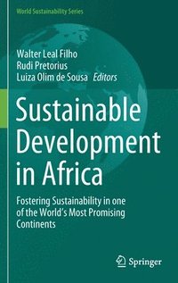 bokomslag Sustainable Development in Africa