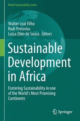 bokomslag Sustainable Development in Africa