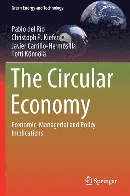Pablo del Río, Christoph P. Kiefer, Javier Carrillo-Hermosilla, Totti Könnölä, Pablo del Rio, Totti Konnola - Circular Economy, Häftad
