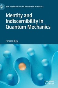 bokomslag Identity and Indiscernibility in Quantum Mechanics