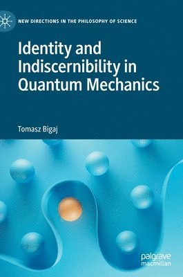 Identity and Indiscernibility in Quantum Mechanics 1