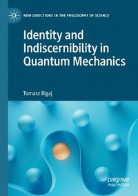 bokomslag Identity and Indiscernibility in Quantum Mechanics