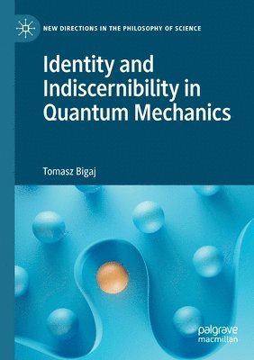 bokomslag Identity and Indiscernibility in Quantum Mechanics