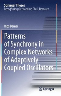 bokomslag Patterns of Synchrony in Complex Networks of Adaptively Coupled Oscillators