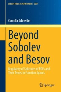 bokomslag Beyond Sobolev and Besov