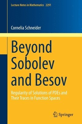 Beyond Sobolev and Besov 1