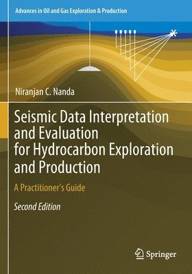 Seismic Data Interpretation and Evaluation for Hydrocarbon Exploration and Production 1