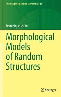 bokomslag Morphological Models of Random Structures