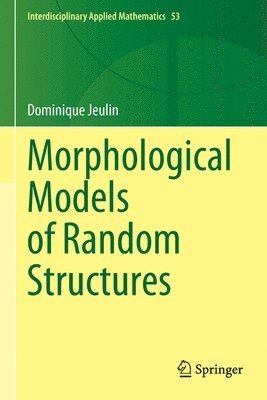 bokomslag Morphological Models of Random Structures