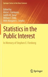 bokomslag Statistics in the Public Interest