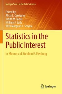 bokomslag Statistics in the Public Interest