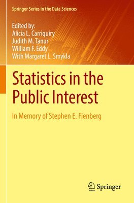 bokomslag Statistics in the Public Interest