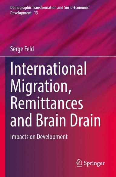 Serge Feld - International Migration, Remittances and Brain Drain, Häftad