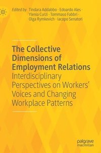 bokomslag The Collective Dimensions of Employment Relations