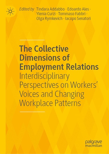 Tindara Addabbo, Edoardo Ales, Ylenia Curzi, Tommaso Fabbri, Olga Rymkevich, Iacopo Senatori - Collective Dimensions of Employment Relations, Inbunden