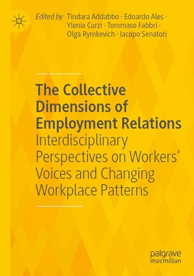 Tindara Addabbo, Edoardo Ales, Ylenia Curzi, Tommaso Fabbri, Olga Rymkevich, Iacopo Senatori - Collective Dimensions of Employment Relations, Häftad