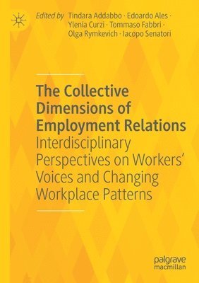 bokomslag The Collective Dimensions of Employment Relations