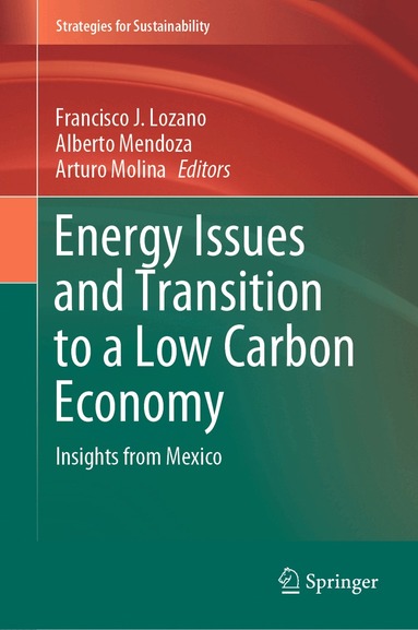 Francisco J. Lozano, Alberto Mendoza, Arturo Molina - Energy Issues and Transition to a Low Carbon Economy, Inbunden