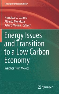 bokomslag Energy Issues and Transition to a Low Carbon Economy