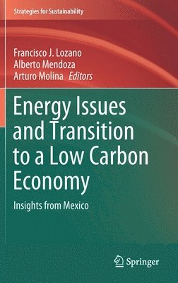 Energy Issues and Transition to a Low Carbon Economy 1