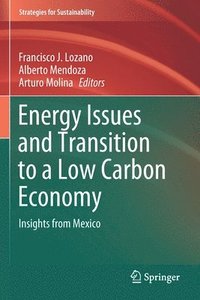 bokomslag Energy Issues and Transition to a Low Carbon Economy