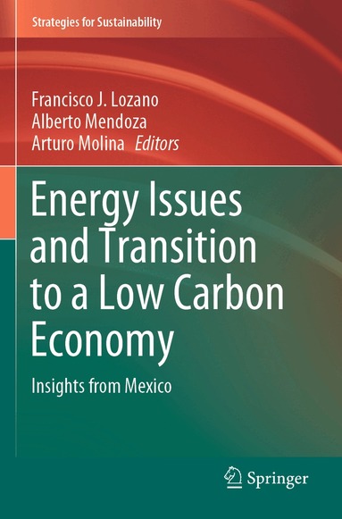 Francisco J. Lozano, Alberto Mendoza, Arturo Molina - Energy Issues and Transition to a Low Carbon Economy, Häftad