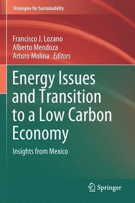 Energy Issues and Transition to a Low Carbon Economy 1