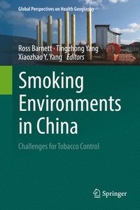 bokomslag Smoking Environments in China
