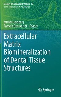 bokomslag Extracellular Matrix Biomineralization of Dental Tissue Structures