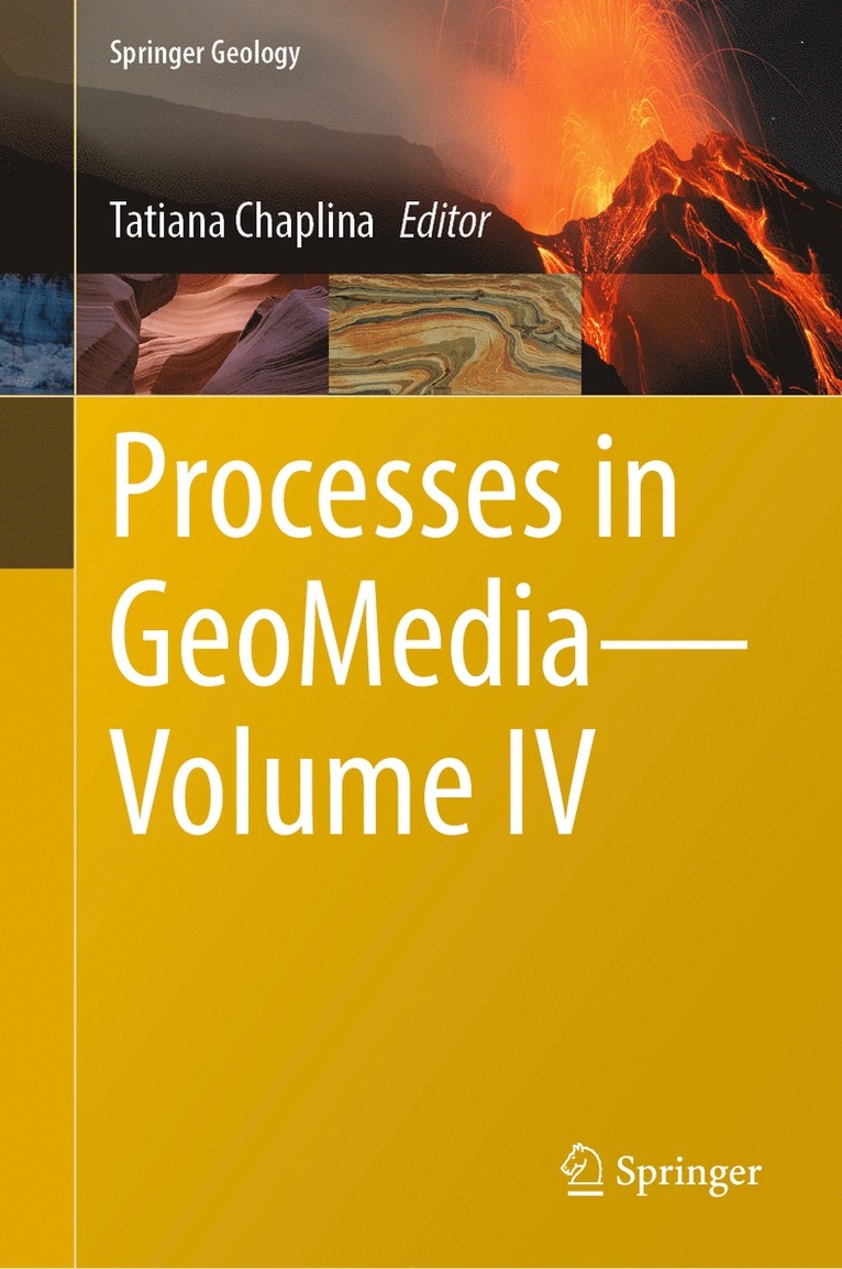 Tatiana Chaplina - Processes in GeoMedia—Volume IV, Inbunden