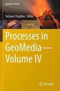bokomslag Processes in GeoMediaVolume IV