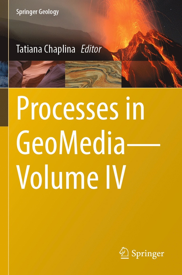 Tatiana Chaplina - Processes in GeoMedia—Volume IV, Häftad