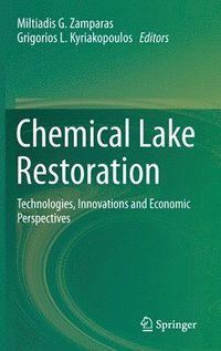 bokomslag Chemical Lake Restoration
