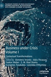 bokomslag Business Under Crisis Volume I