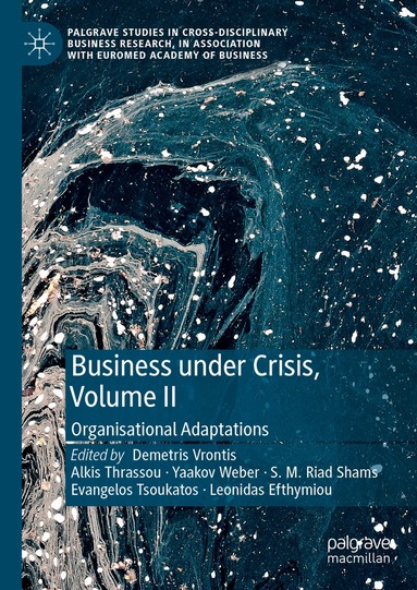 Demetris Vrontis, Alkis Thrassou, Yaakov Weber, S. M. Riad Shams, Evangelos Tsoukatos, Leonidas Efthymiou - Business Under Crisis, Volume II, Inbunden
