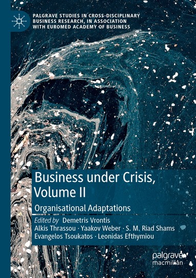 Demetris Vrontis, Alkis Thrassou, Yaakov Weber, S. M. Riad Shams, Evangelos Tsoukatos, Leonidas Efthymiou - Business Under Crisis, Volume II, Häftad