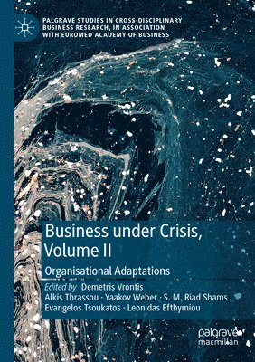 bokomslag Business Under Crisis, Volume II