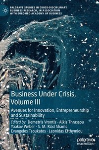 bokomslag Business Under Crisis, Volume III