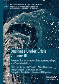 bokomslag Business Under Crisis, Volume III