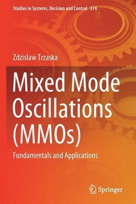 Mixed Mode Oscillations (MMOs) 1