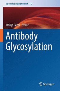 bokomslag Antibody Glycosylation