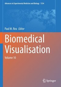 bokomslag Biomedical Visualisation