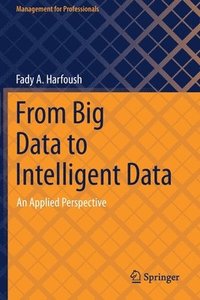 bokomslag From Big Data to Intelligent Data