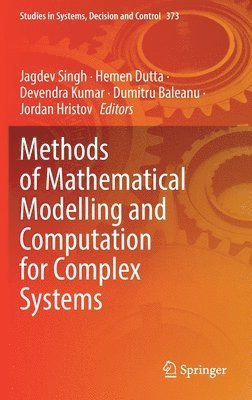 bokomslag Methods of Mathematical Modelling and Computation for Complex Systems