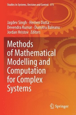 bokomslag Methods of Mathematical Modelling and Computation for Complex Systems