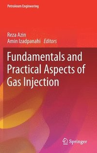 bokomslag Fundamentals and Practical Aspects of Gas Injection