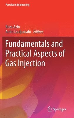 bokomslag Fundamentals and Practical Aspects of Gas Injection